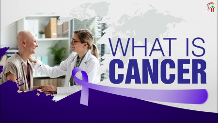 Most Common Cancers in North Region
